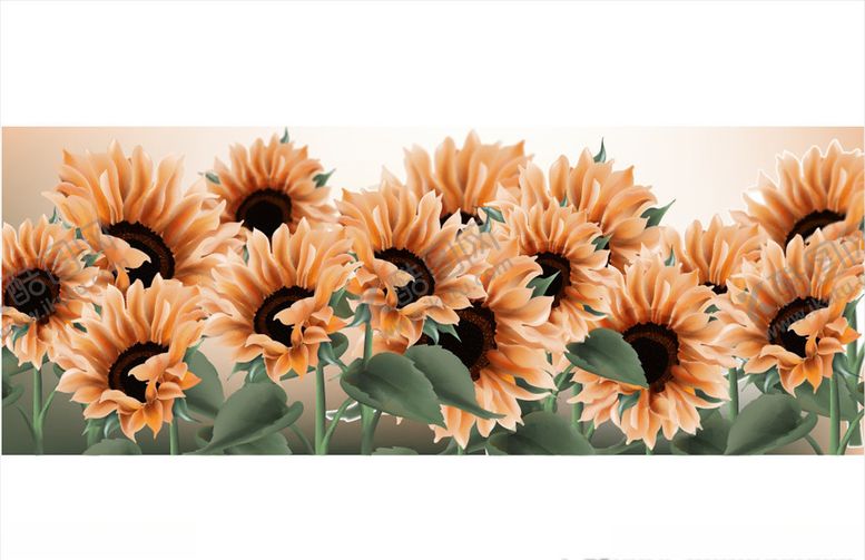 编号：42074110021915262316【酷图网】源文件下载-花卉背景