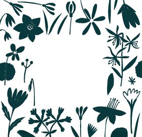 植物边框