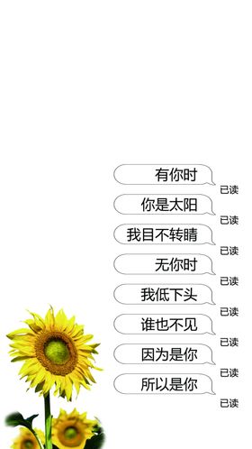 手机壁纸
