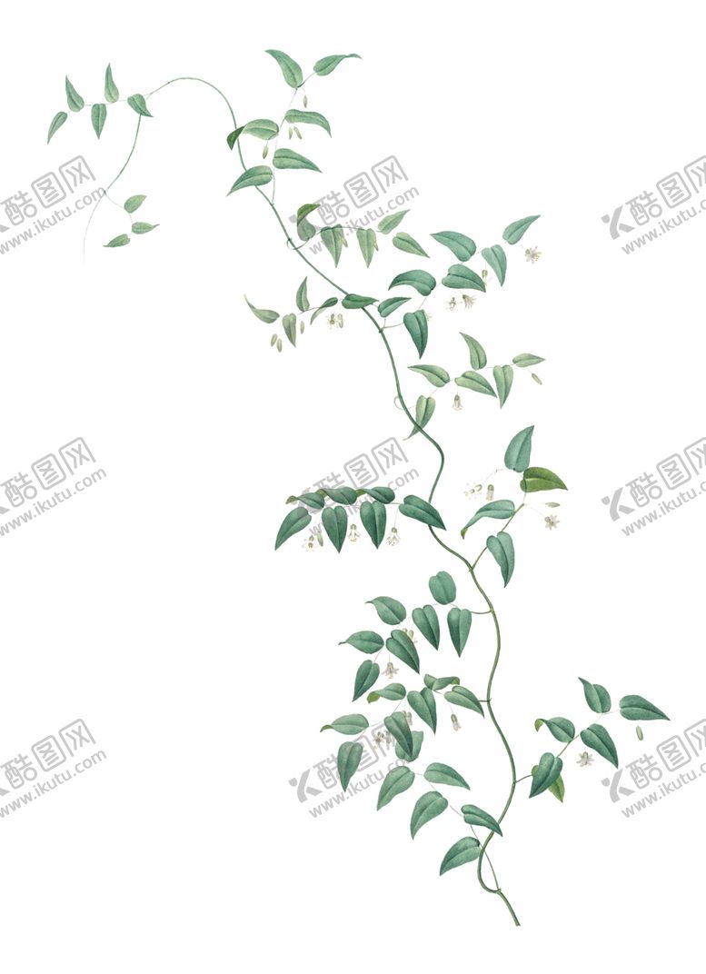 编号：46379302230855021449【酷图网】源文件下载-叶子