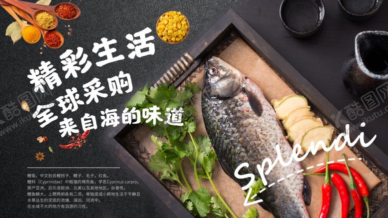 编号：91978009122314577108【酷图网】源文件下载-活鱼