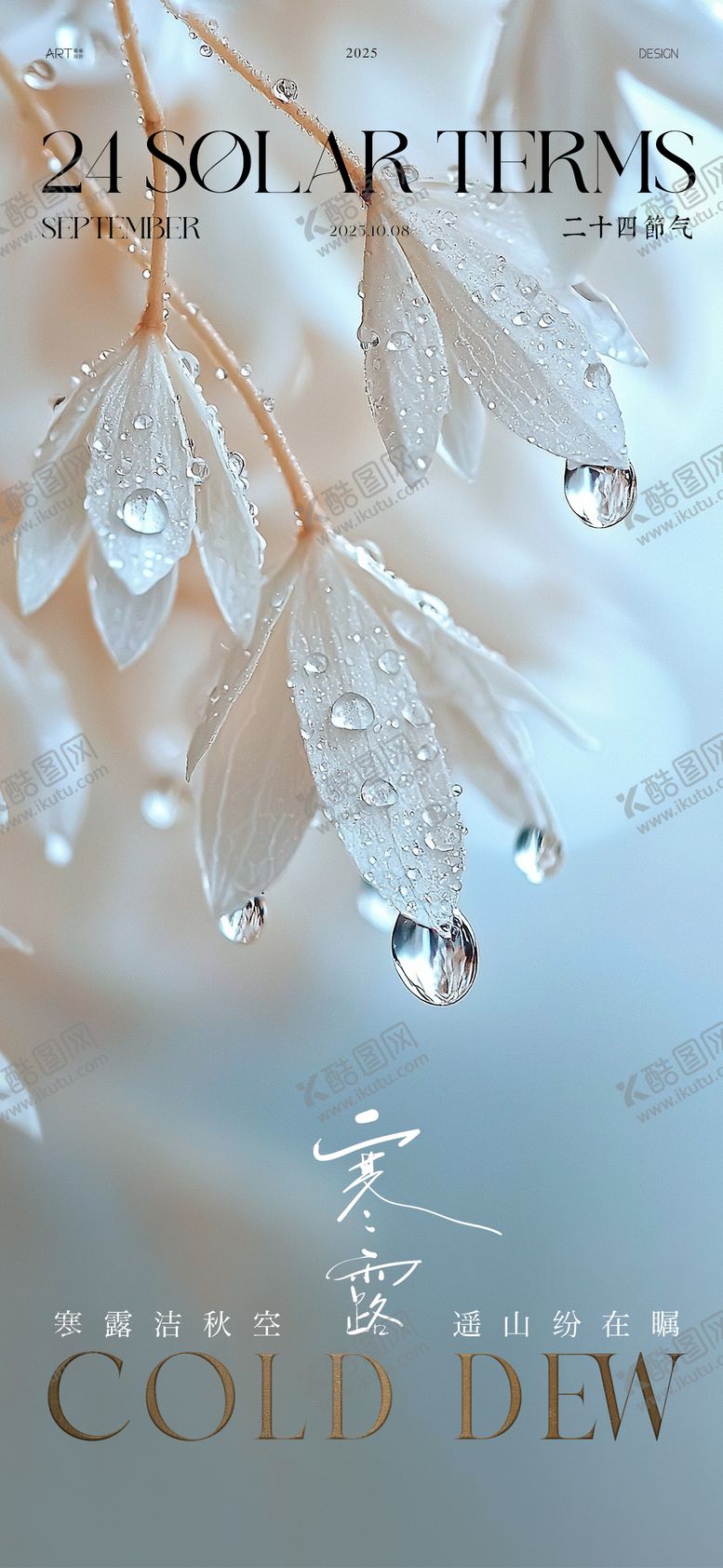 编号：11101109291716219493【酷图网】源文件下载-寒露海报