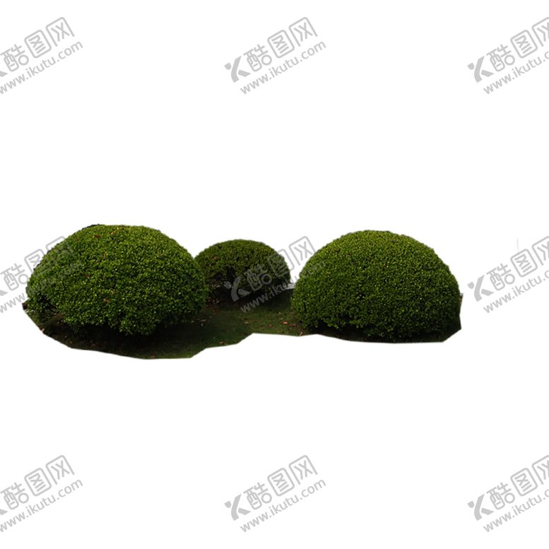 编号：27284706271733476427【酷图网】源文件下载-绿色植物