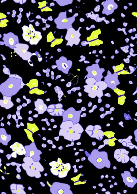 小碎花