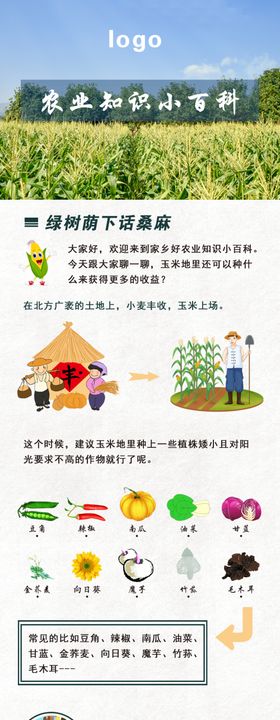 植物百科系列发财树