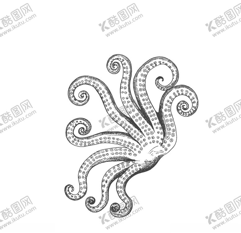 编号：93134909240116508891【酷图网】源文件下载-章鱼