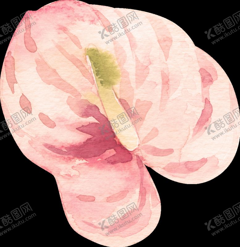 编号：70495110080351131594【酷图网】源文件下载-花素材