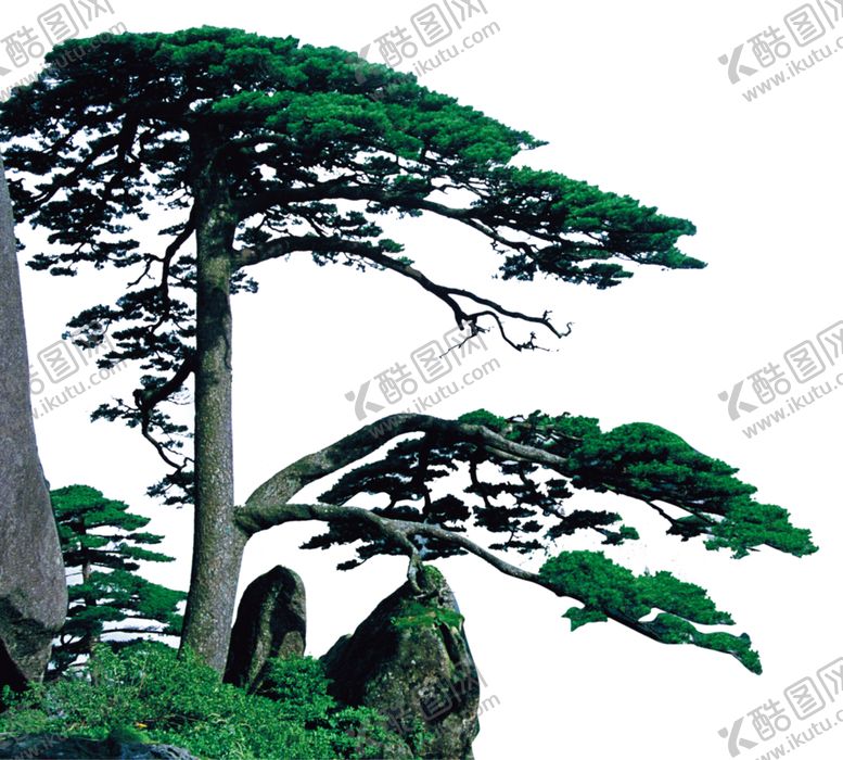 编号：24901209092351083212【酷图网】源文件下载-水墨松树