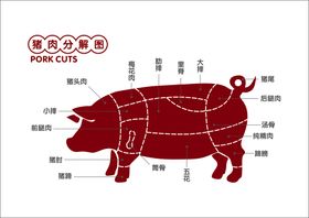 猪肉分割图