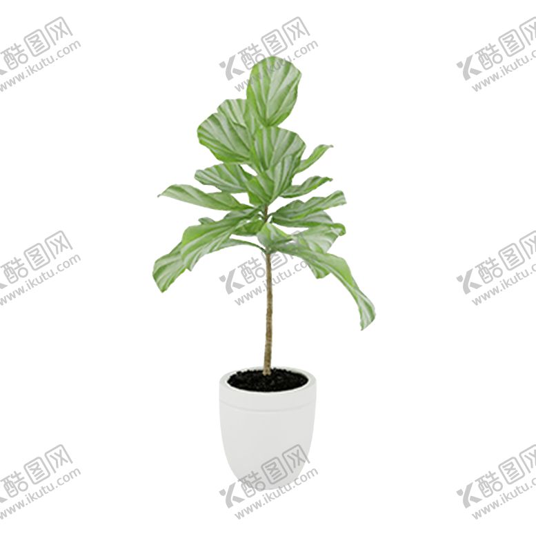 编号：91937706251246386665【酷图网】源文件下载-植被家居装饰简约海报素材