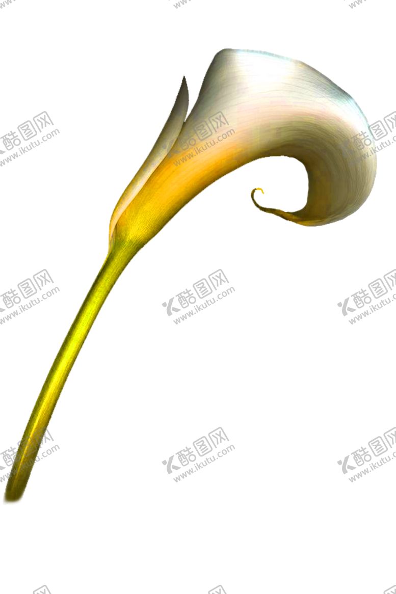 编号：46052410171834402994【酷图网】源文件下载-花素材