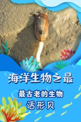 眼部六个之最海报