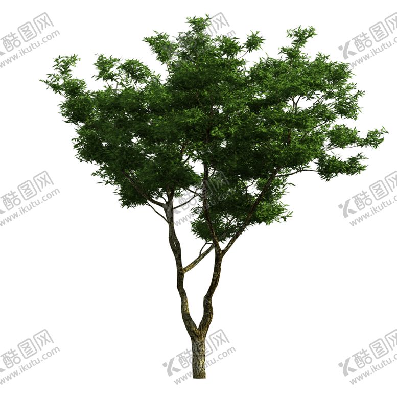 编号：15490309141048016802【酷图网】源文件下载-景观树