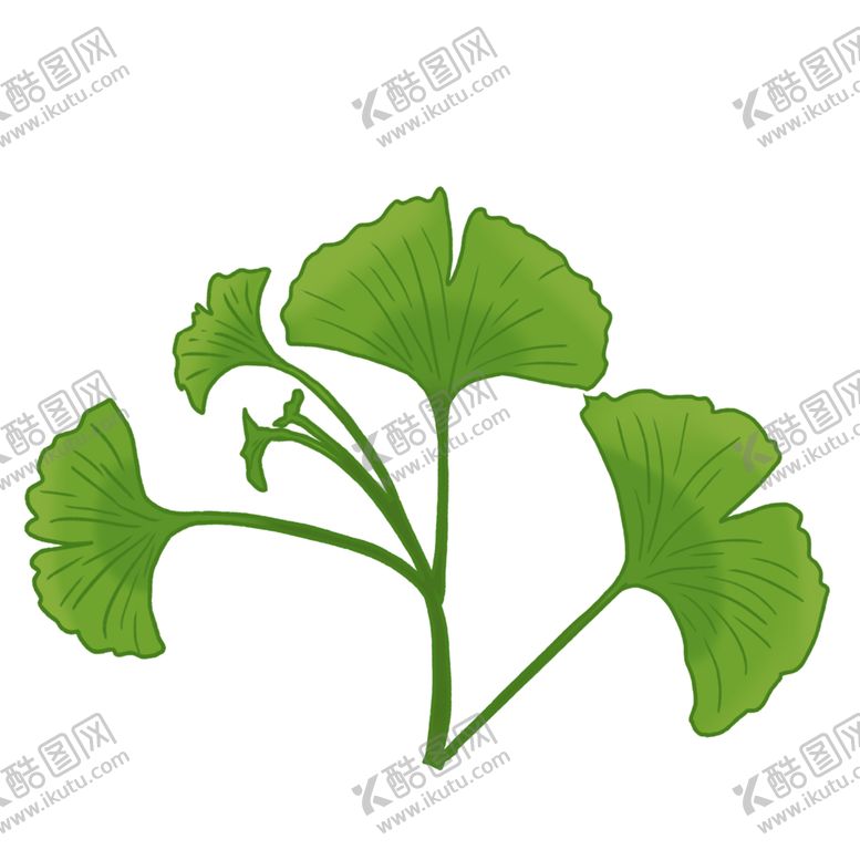 编号：19061106152054155806【酷图网】源文件下载-秋天银杏叶