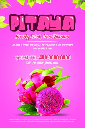 越南火龙果宣传海报