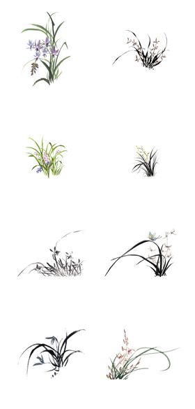 手绘兰花素材