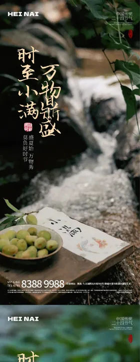 二十四节气小满意境海报