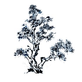 水墨中国风迎客松