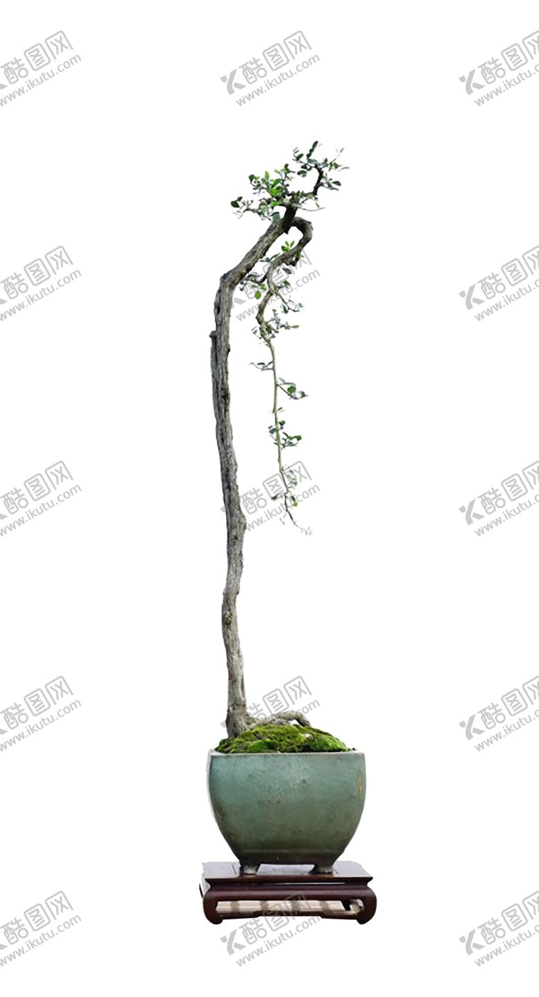 编号：31249007020947507505【酷图网】源文件下载-花艺