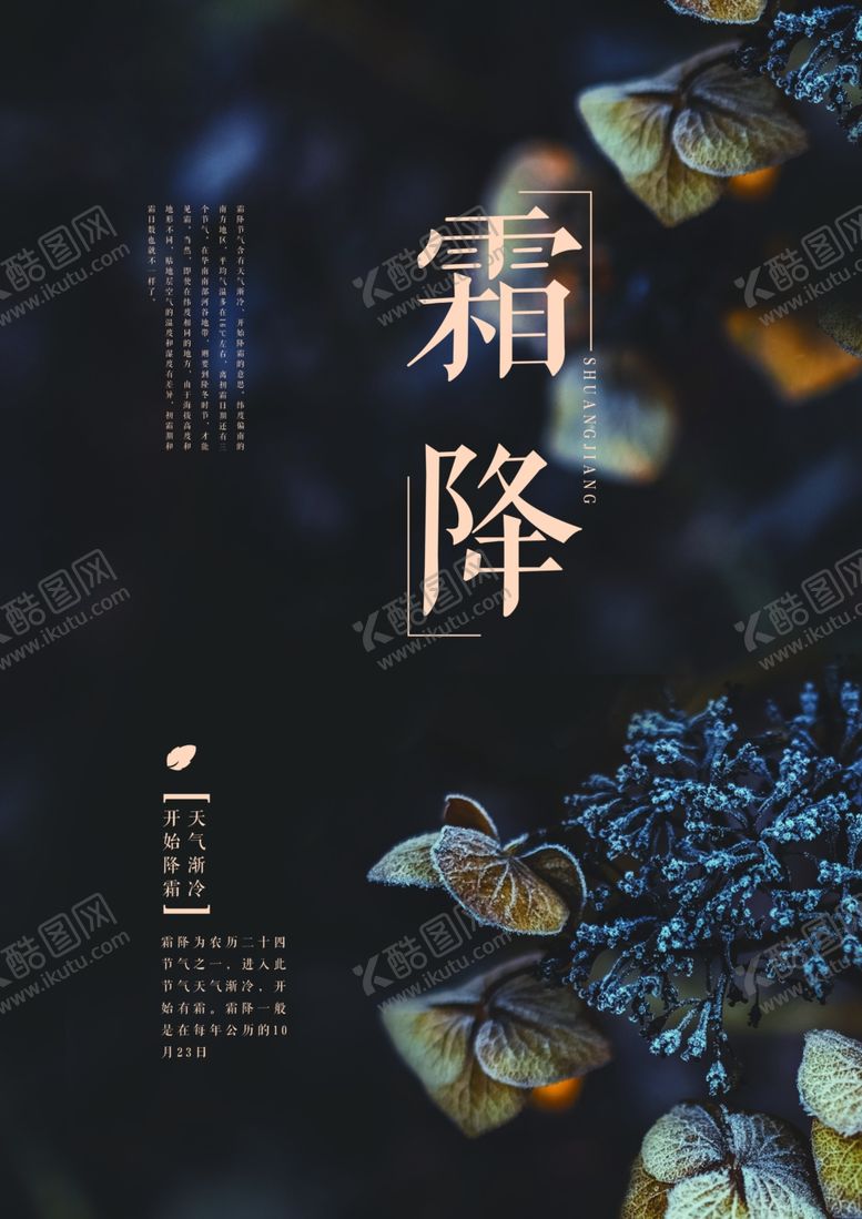 编号：11044504061709026772【酷图网】源文件下载-霜降海报