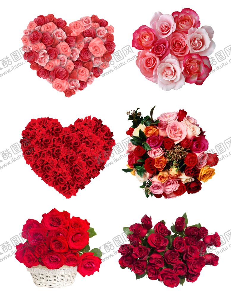 编号：45528610060355558849【酷图网】源文件下载-玫瑰花素材