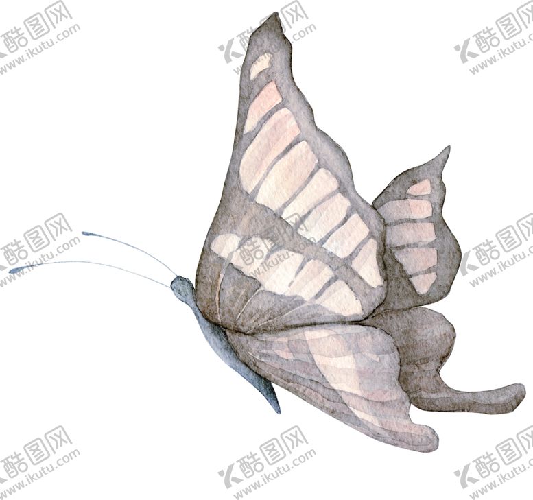 编号：59177106280520005735【酷图网】源文件下载-蝴蝶素材