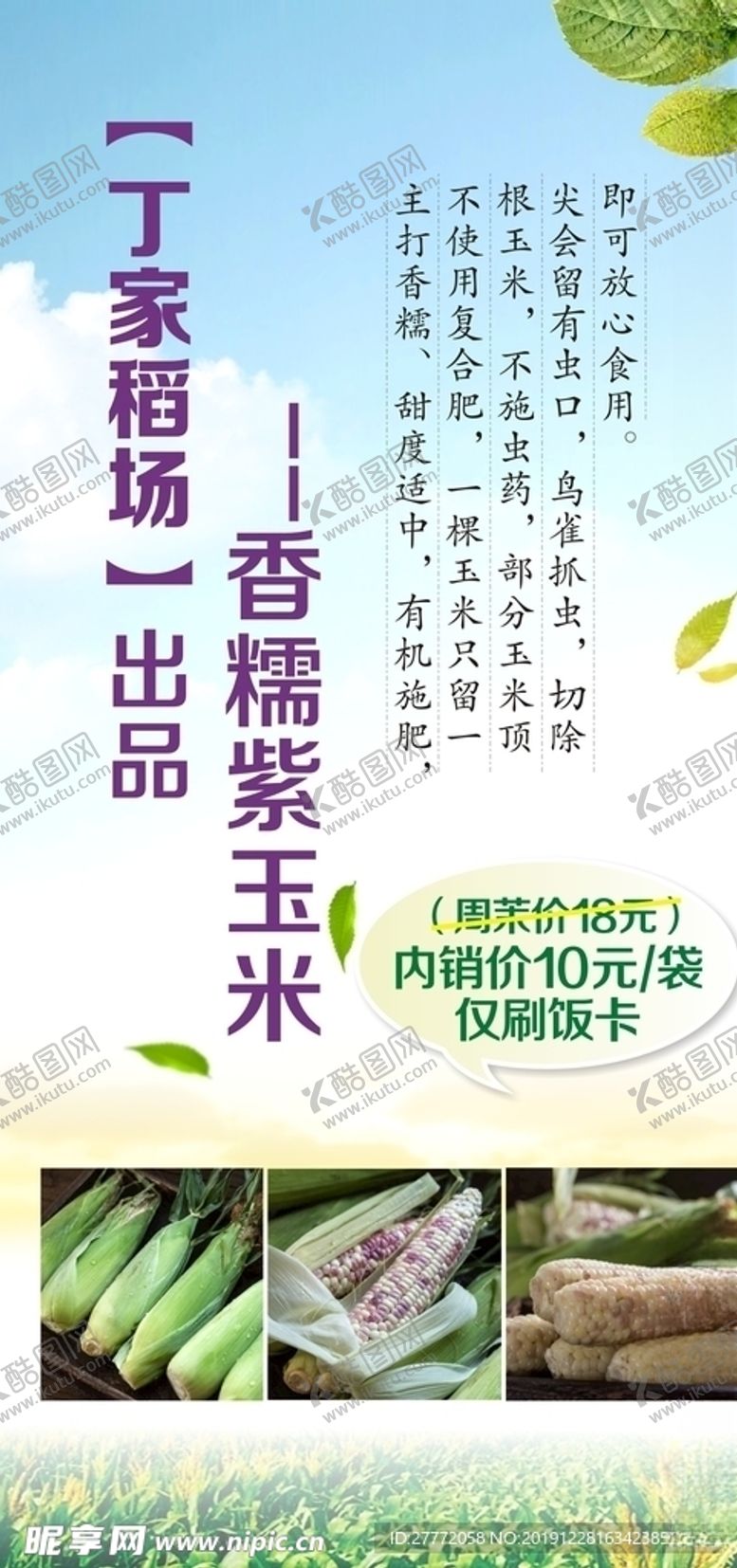 编号：32216310082052055761【酷图网】源文件下载-有机玉米