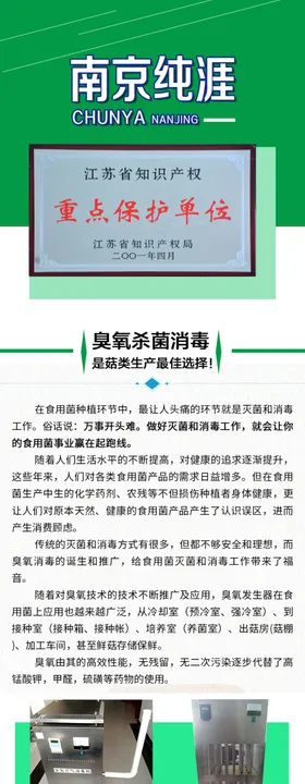 微信图长图绿色网页宣传