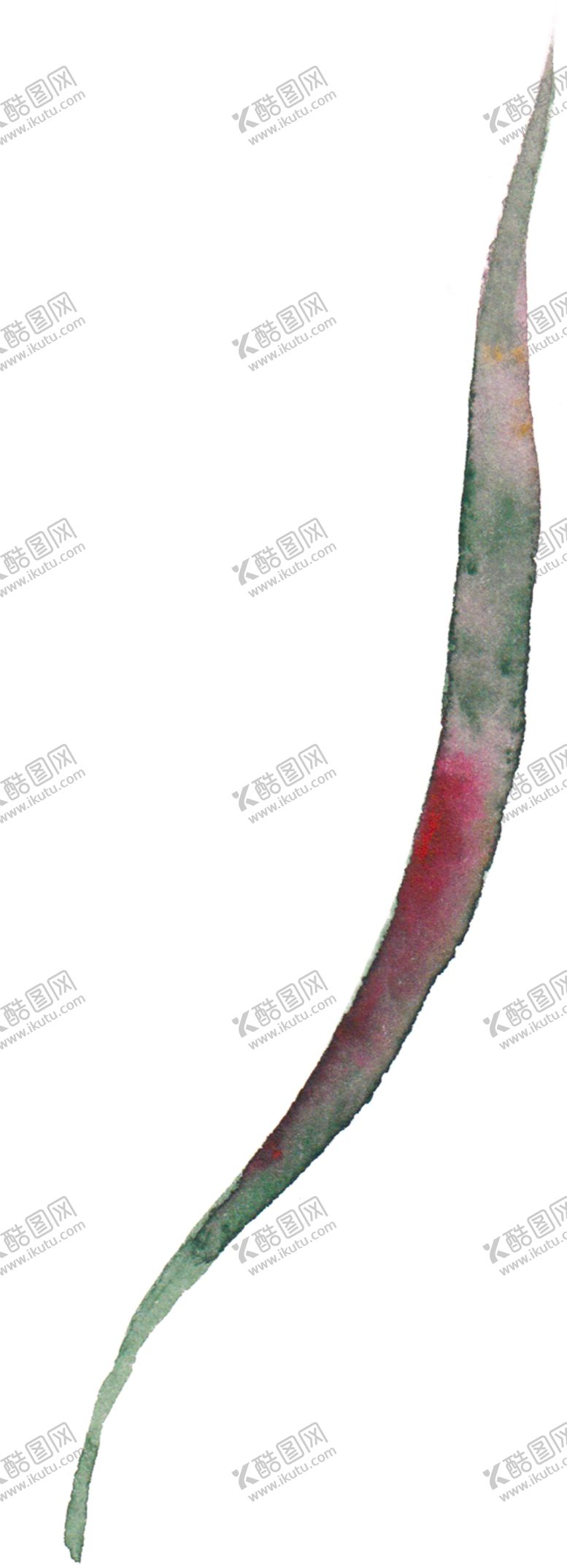 编号：47846107131620359508【酷图网】源文件下载-花卉