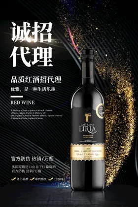葡萄酒海报干红红进口