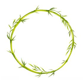 植物竹子装饰图案