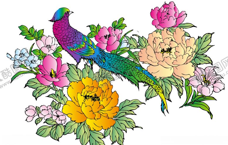 编号：70745609121346214320【酷图网】源文件下载-牡丹花鸟