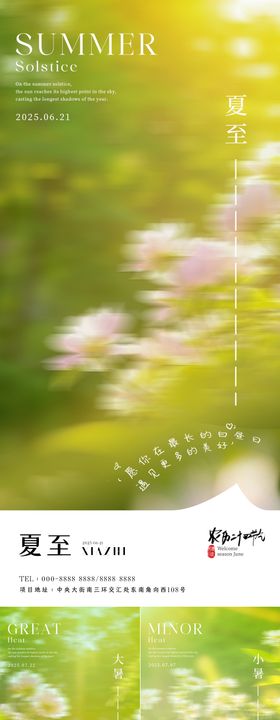 夏至小暑大暑花卉系列