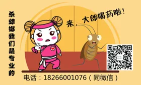 蟑螂药不干胶
