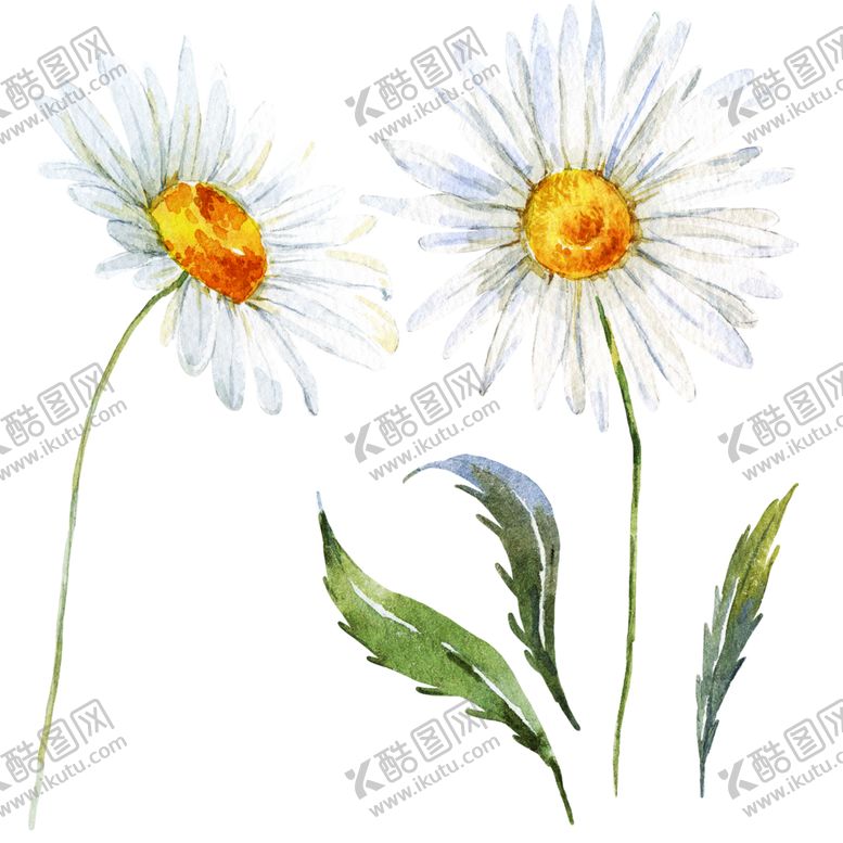 编号：93917706281225389959【酷图网】源文件下载-手绘植物