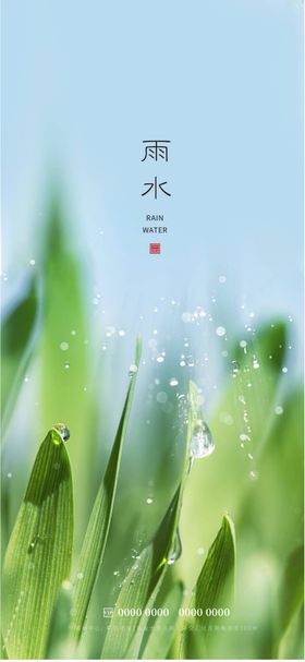 雨水节气海报春天珠春季