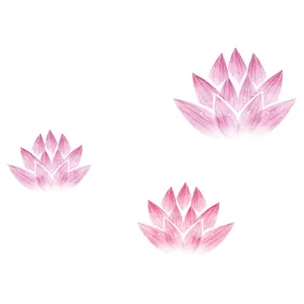 荷花素材夏日叶夏至海报叶插画