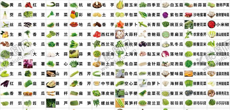 编号：47638609090255182961【酷图网】源文件下载-蔬菜品名