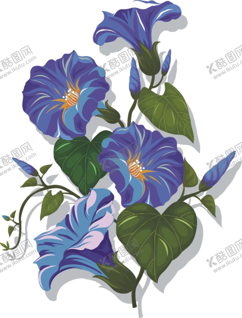 编号：65701807072256048685【酷图网】源文件下载-手绘花卉