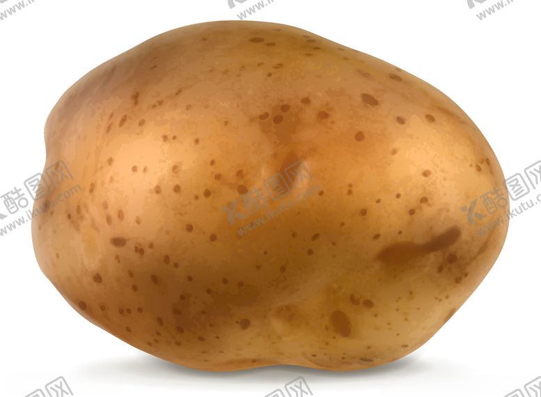 编号：22338009260359017846【酷图网】源文件下载-矢量手绘土豆