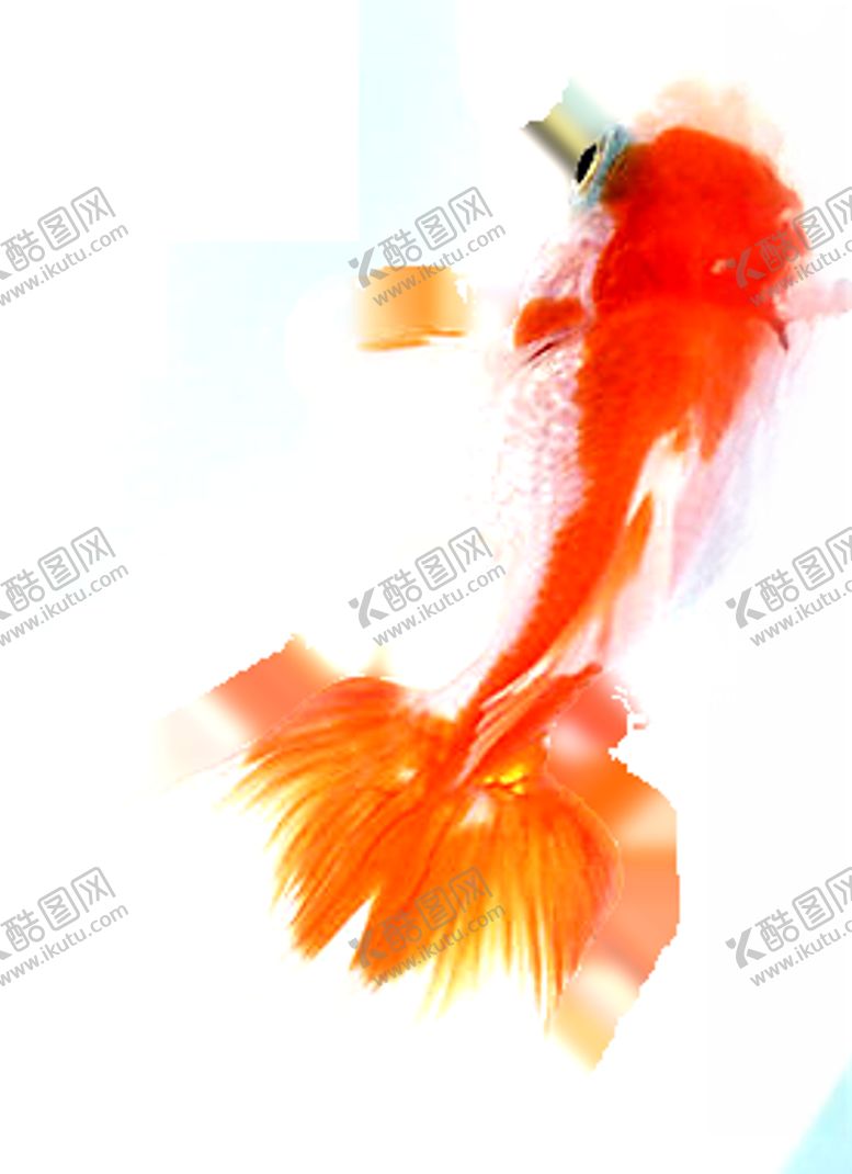 编号：52723809282312351455【酷图网】源文件下载-水墨墨迹鲤鱼