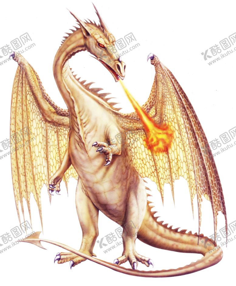 编号：48440009280713218841【酷图网】源文件下载-火焰素材