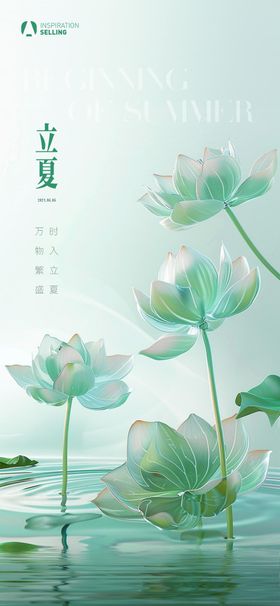 立夏海报二十四节气荷花荷叶地产