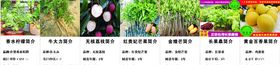 果树简介