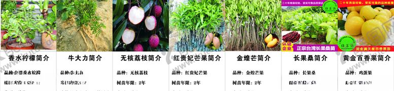 编号：47160210310900419675【酷图网】源文件下载-果树简介