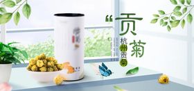 贡菊