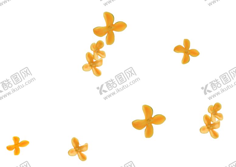 编号：19709507050216286126【酷图网】源文件下载-手绘植物花卉