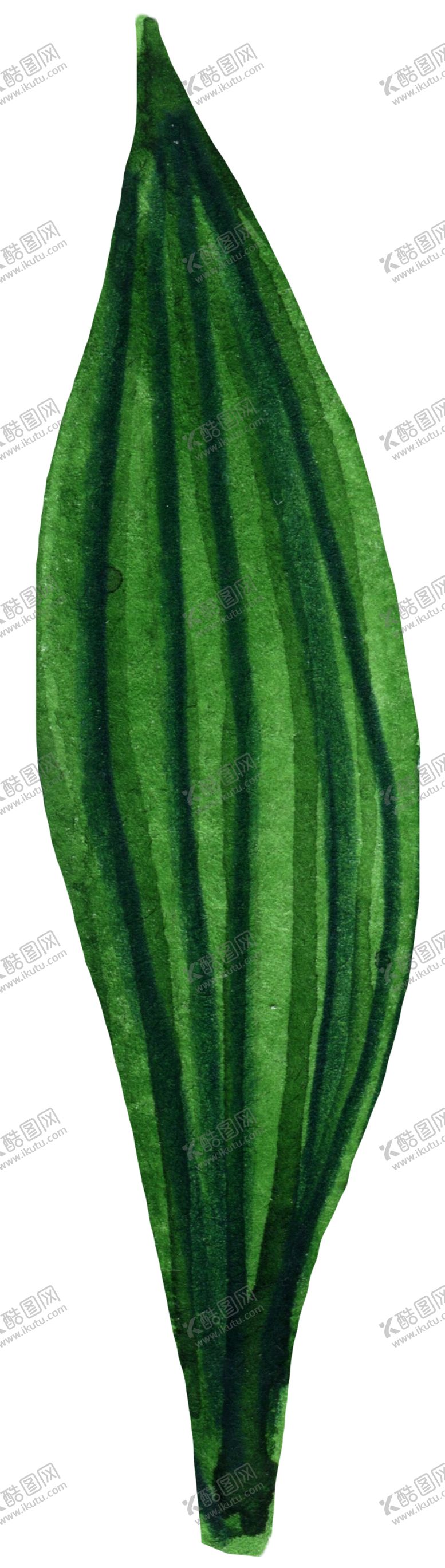 编号：55966409142144039550【酷图网】源文件下载-手绘植物叶片