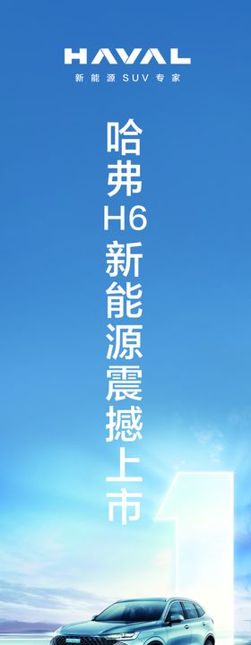 哈弗H6PHEV道旗