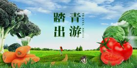 踏青出游蔬菜海报
